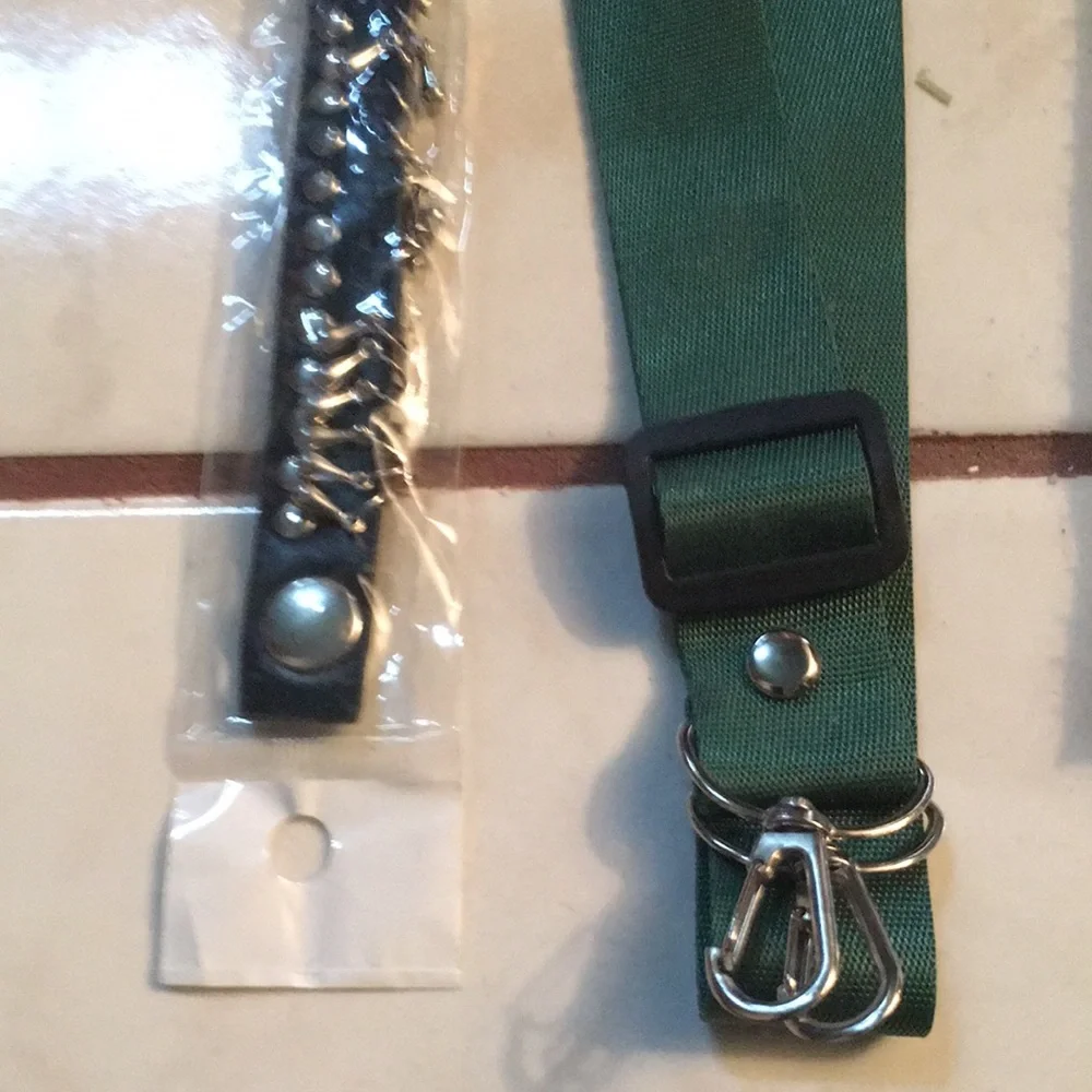 NWT Pet Collar and Leash